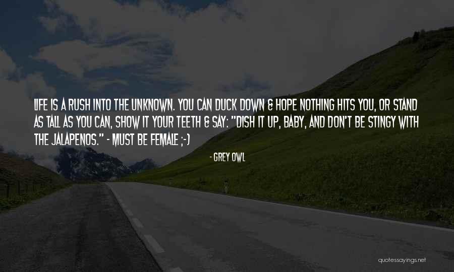 Don't Dish It Out Quotes By Grey Owl Don't Dish It Out Quotes By Grey Owl
