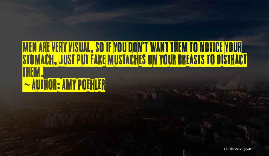 Don't Distract Me Quotes By Amy Poehler