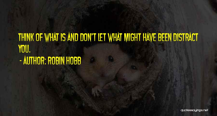 Don't Distract Me Quotes By Robin Hobb