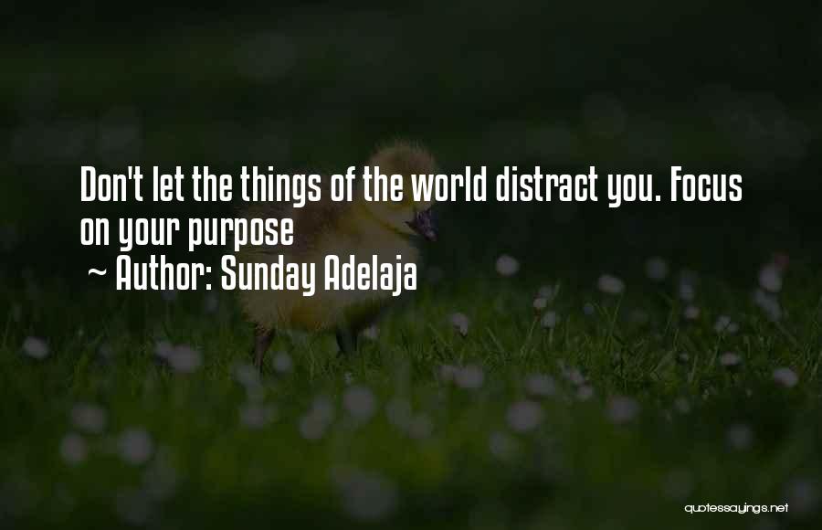 Don't Distract Me Quotes By Sunday Adelaja