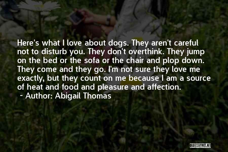 Don't Disturb Someone Quotes By Abigail Thomas