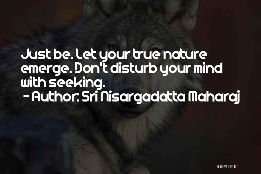 Don't Disturb Someone Quotes By Sri Nisargadatta Maharaj