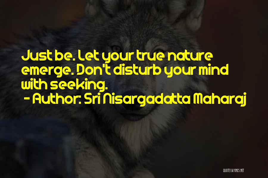 Don't Disturb Them Quotes By Sri Nisargadatta Maharaj