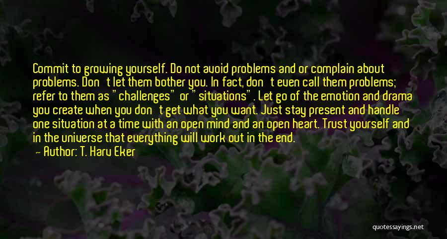 Don't Do Drama Quotes By T. Harv Eker
