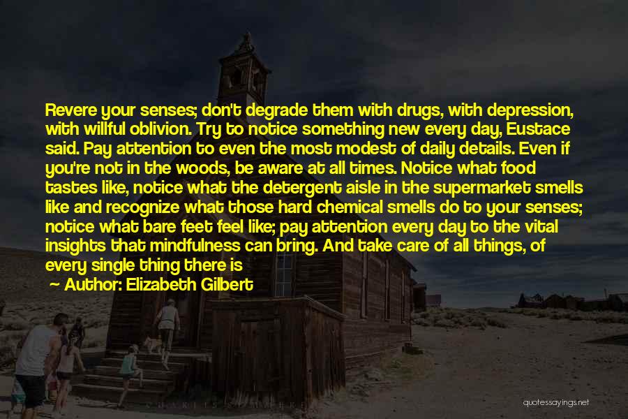 Don't Do Drugs Quotes By Elizabeth Gilbert