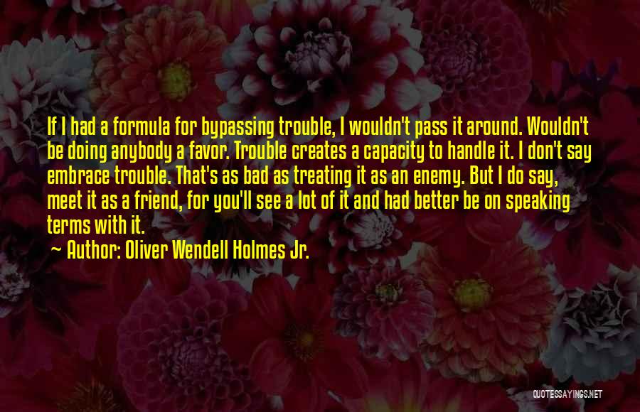 Don't Do Favor Quotes By Oliver Wendell Holmes Jr.