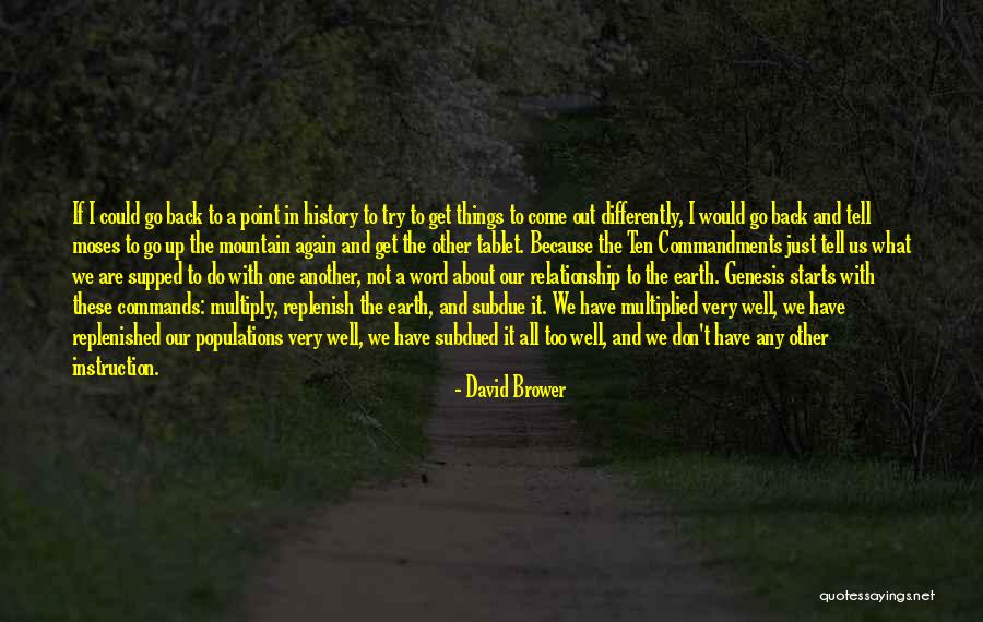 Don't Do It Again Quotes By David Brower