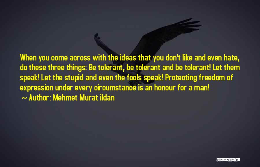 Don't Do Stupid Things Quotes By Mehmet Murat Ildan