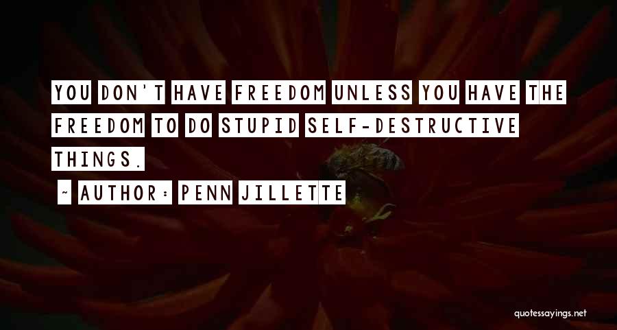 Don't Do Stupid Things Quotes By Penn Jillette