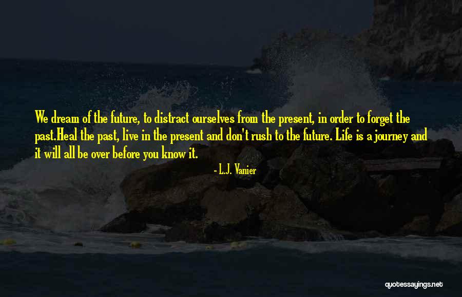 Don't Dream Your Life Live Your Dream Quotes By L.J. Vanier Don't Dream Your Life Live Your Dream Quotes By L.J. Vanier