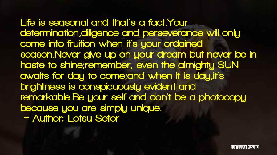 Don't Dream Your Life Quotes By Lotsu Setor