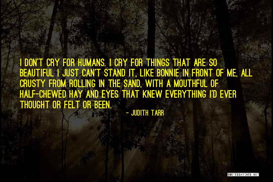 Don't Ever Cry Quotes By Judith Tarr Don't Ever Cry Quotes By Judith Tarr
