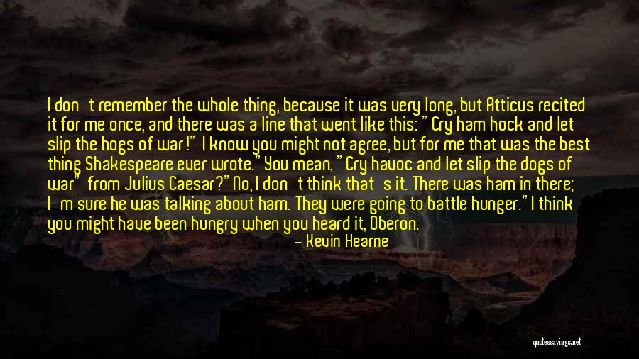 Don't Ever Cry Quotes By Kevin Hearne Don't Ever Cry Quotes By Kevin Hearne