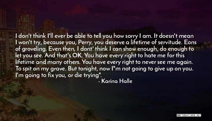 Don't Ever Give Up On Me Quotes By Karina Halle