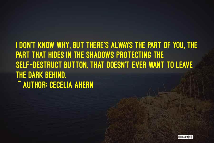 Don't Ever Leave Quotes By Cecelia Ahern