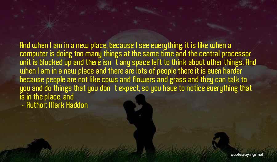 Don't Expect Things To Happen Quotes By Mark Haddon