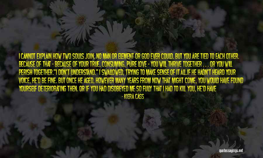 Don't Explain Yourself Quotes By Kiera Cass Don't Explain Yourself Quotes By Kiera Cass