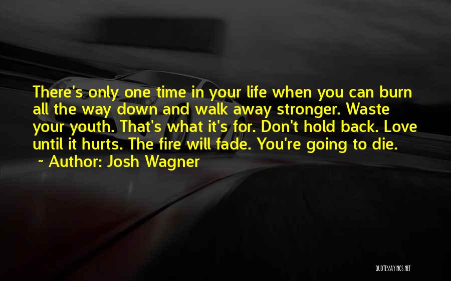 Don't Fade Away Quotes By Josh Wagner