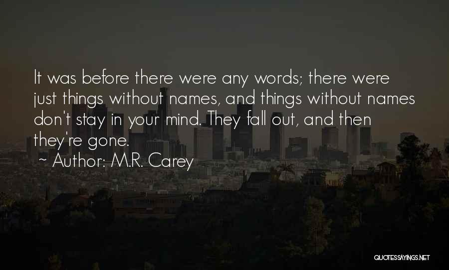 Don't Fall For Words Quotes By M.R. Carey