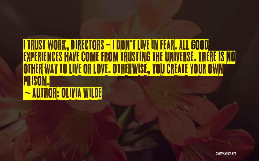 Don't Fear Love Quotes By Olivia Wilde