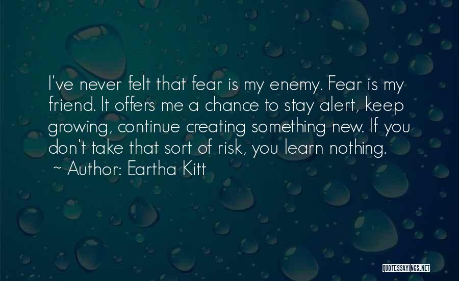 Don't Fear Nothing Quotes By Eartha Kitt