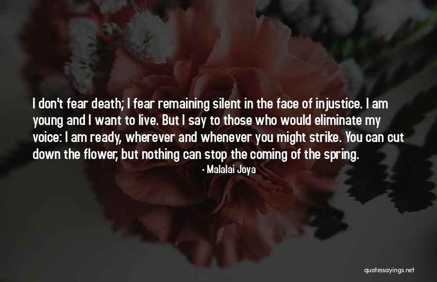 Don't Fear Nothing Quotes By Malalai Joya