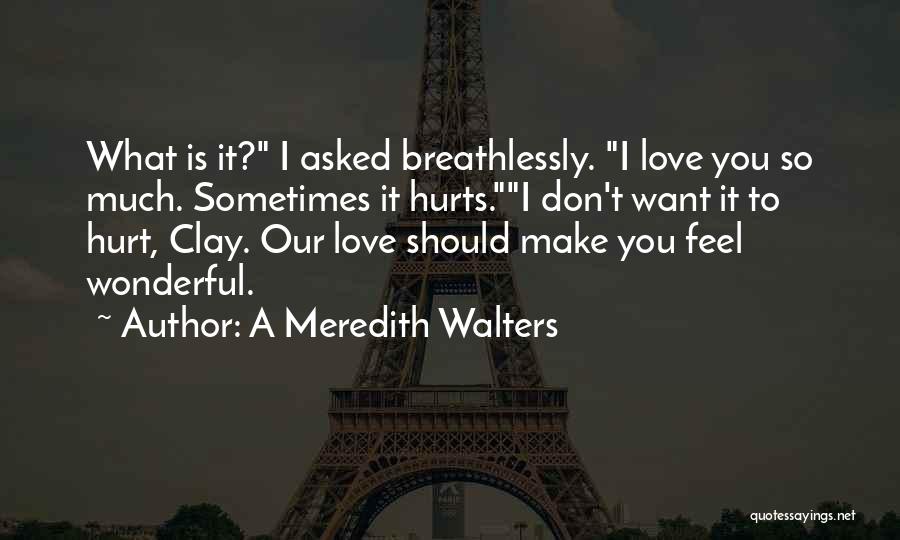 Don't Feel Hurt Quotes By A Meredith Walters