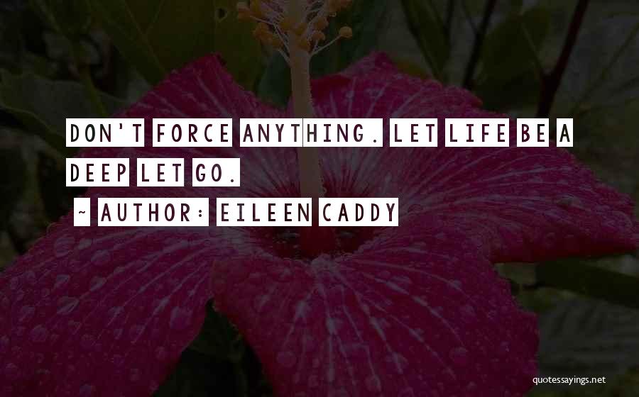 Don't Force Anything Quotes By Eileen Caddy