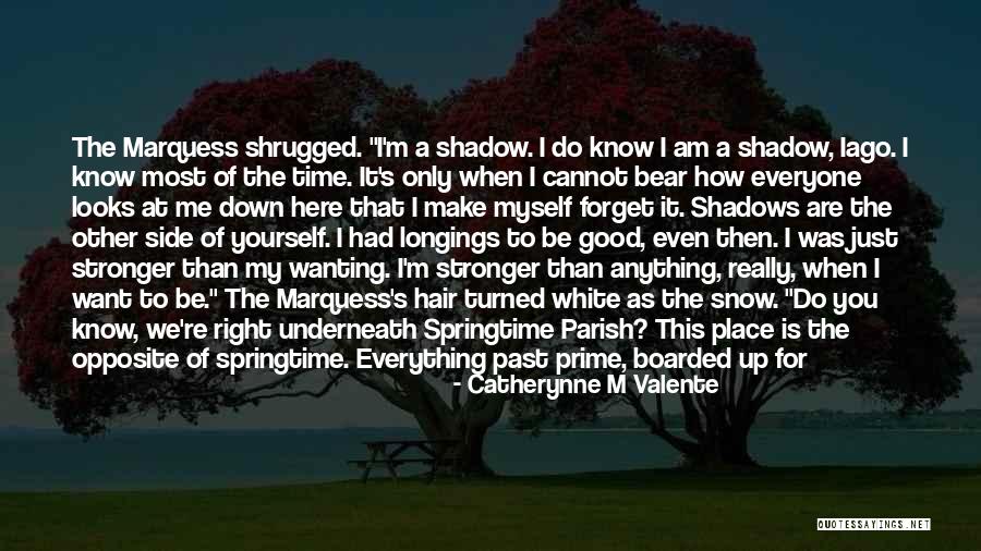 Don't Forget About Us Quotes By Catherynne M Valente Don't Forget About Us Quotes By Catherynne M Valente