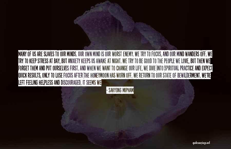 Don't Forget About Us Quotes By Sakyong Mipham Don't Forget About Us Quotes By Sakyong Mipham