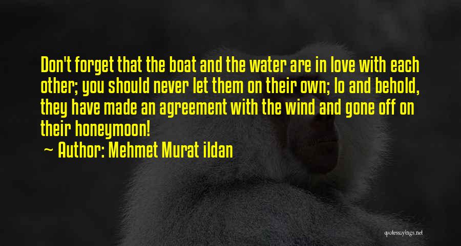 Don't Forget Love Quotes By Mehmet Murat Ildan