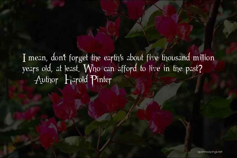 Don't Forget Past Quotes By Harold Pinter