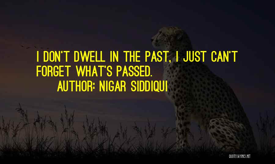 Don't Forget Past Quotes By Nigar Siddiqui