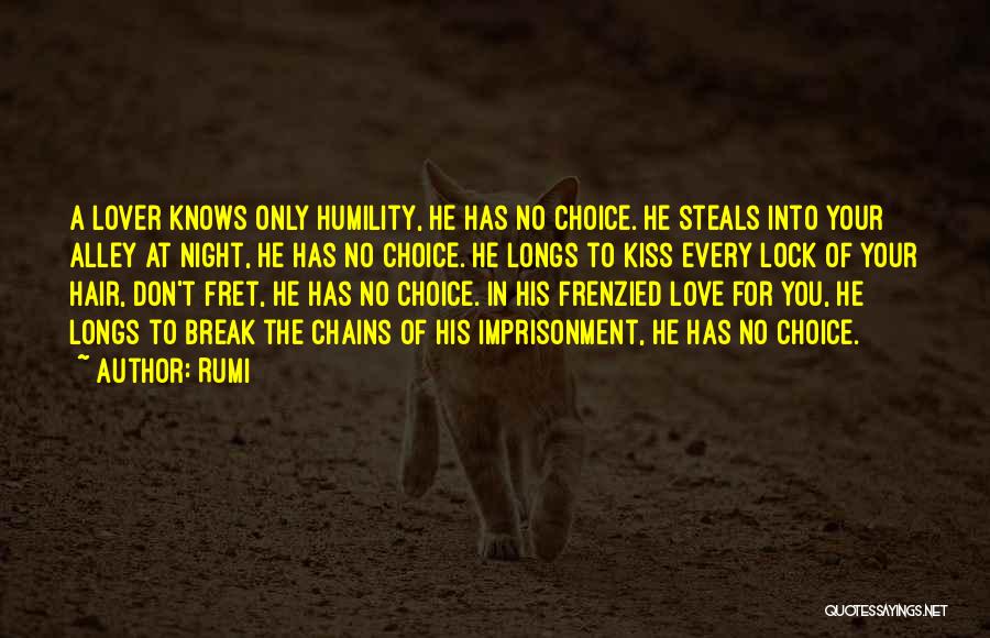 Don't Fret Quotes By Rumi