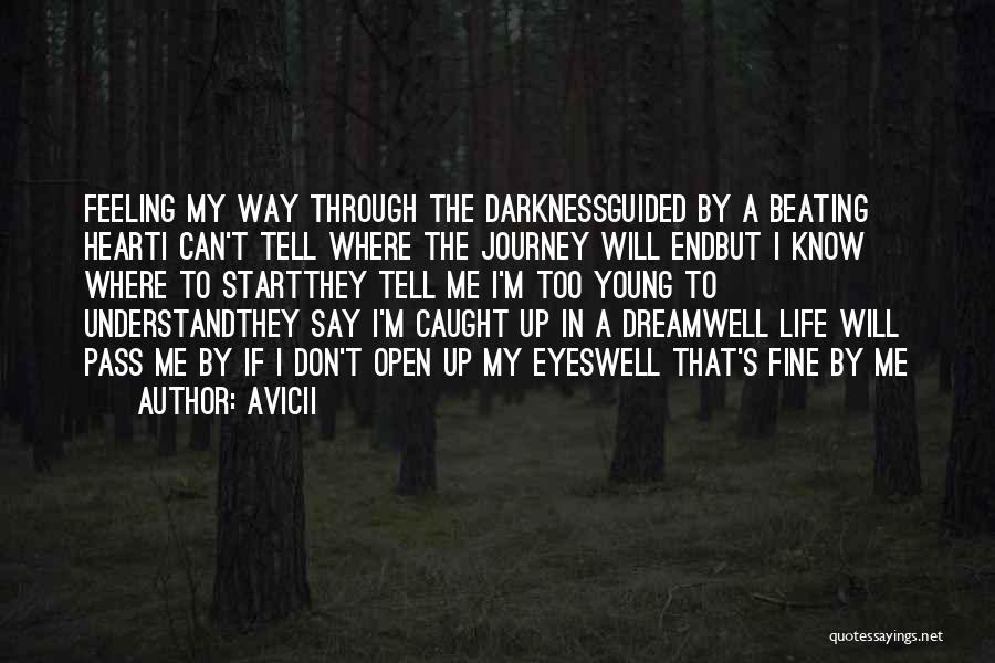 Don't Get Caught Up In Life Quotes By Avicii