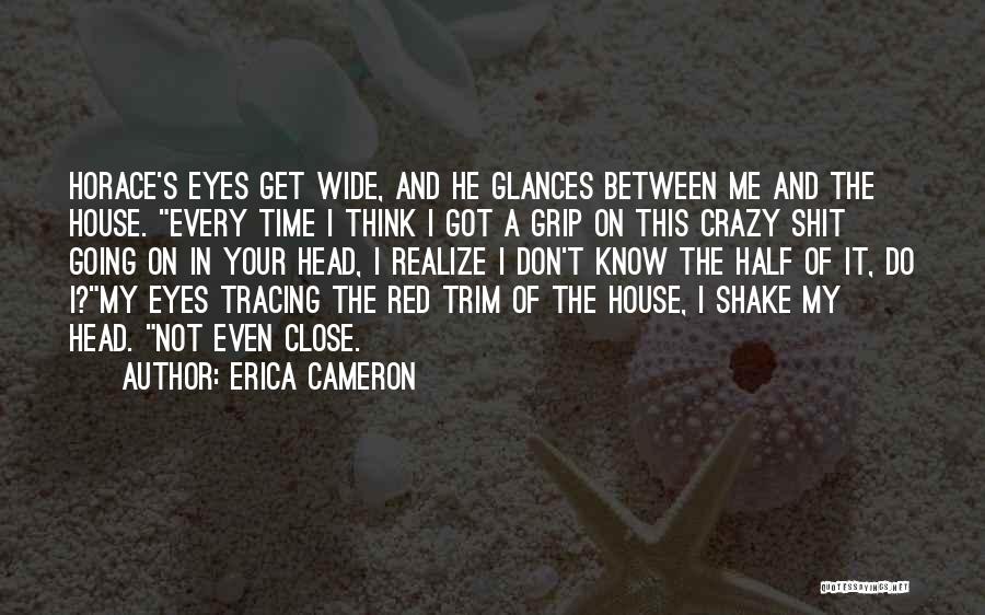 Don't Get Even Quotes By Erica Cameron