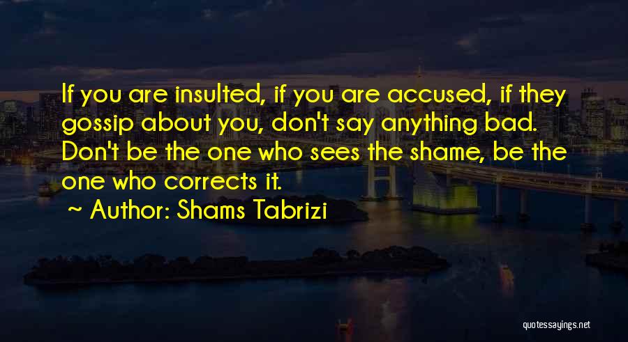 Don't Get Insulted Quotes By Shams Tabrizi