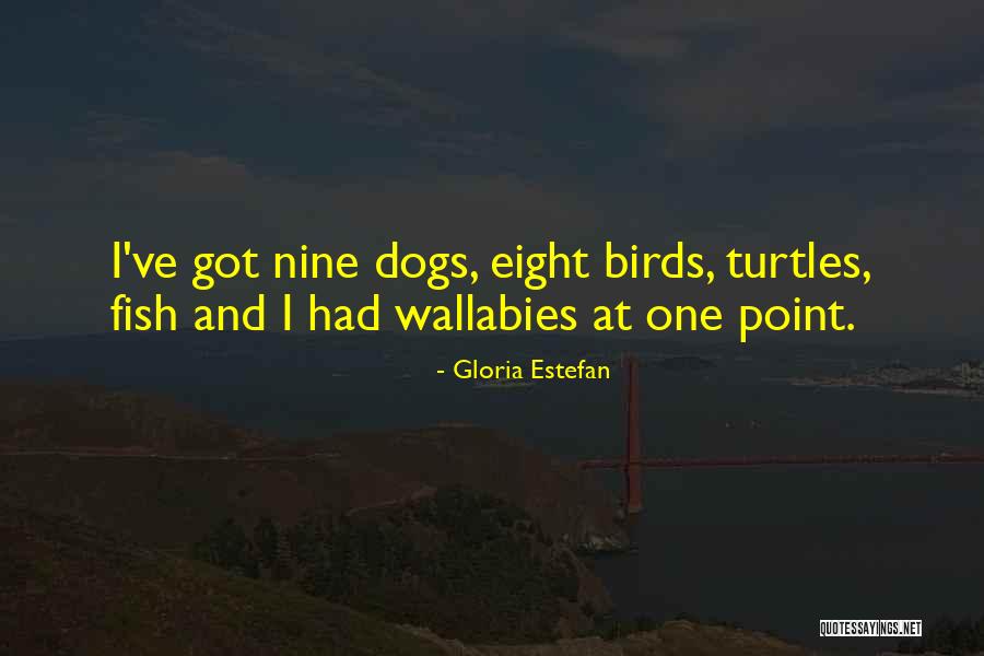 Don't Get It Twisted I Am My Own Team Quotes By Gloria Estefan Don't Get It Twisted I Am My Own Team Quotes By Gloria Estefan