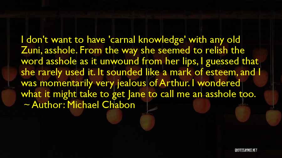 Don't Get Jealous Of Me Quotes By Michael Chabon