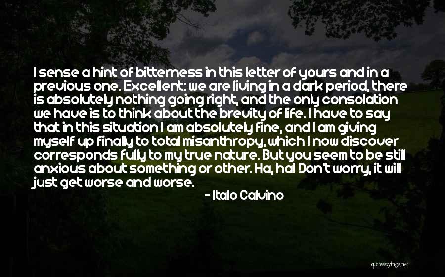 Don't Get The Hint Quotes By Italo Calvino