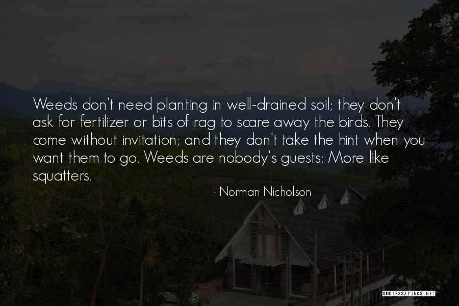 Don't Get The Hint Quotes By Norman Nicholson