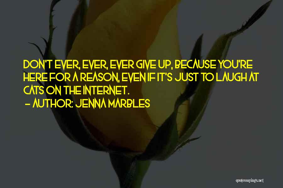 Don't Give Up Because Quotes By Jenna Marbles