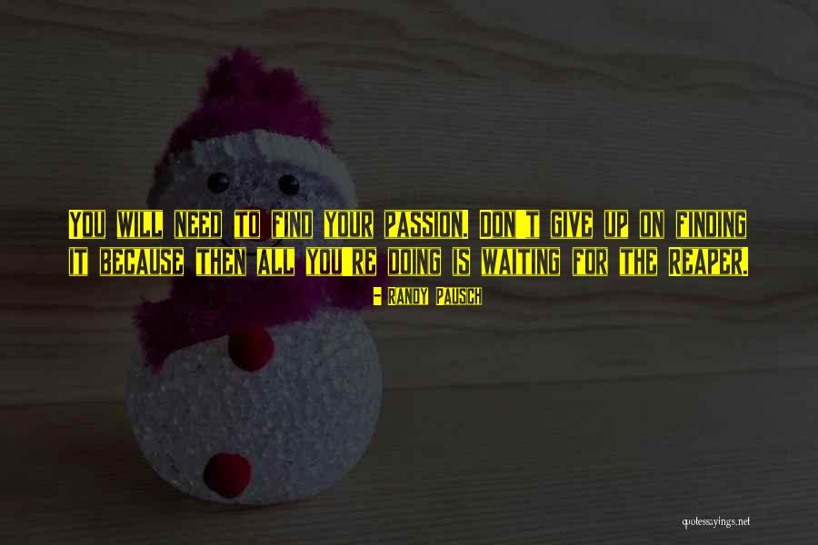 Don't Give Up Because Quotes By Randy Pausch Don't Give Up Because Quotes By Randy Pausch