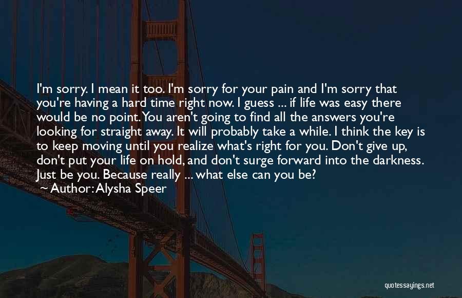 Don't Give Up Just Hold On Quotes By Alysha Speer