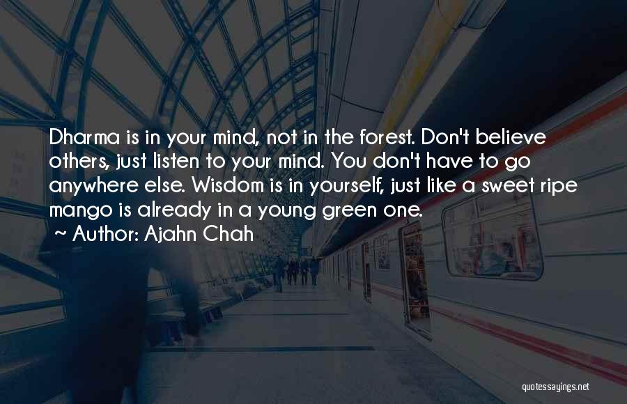 Don't Go Anywhere Quotes By Ajahn Chah