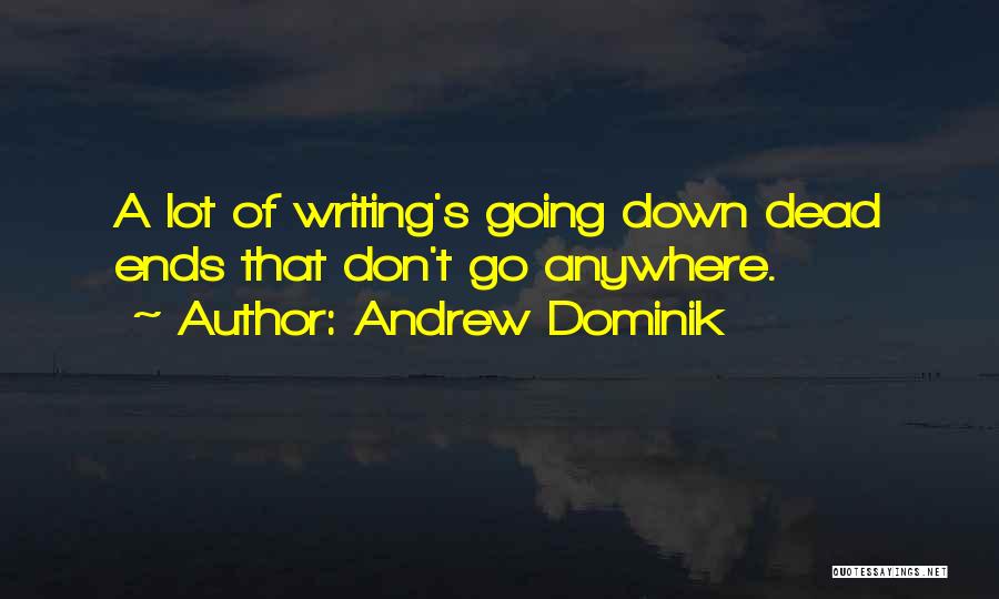 Don't Go Anywhere Quotes By Andrew Dominik