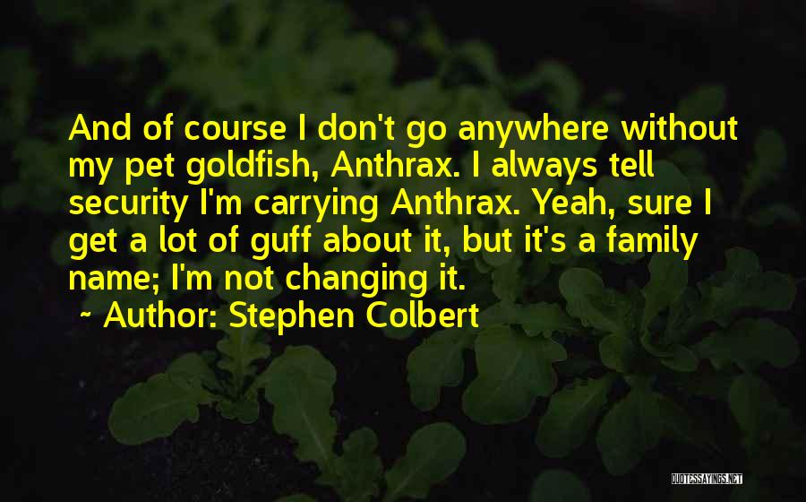 Don't Go Anywhere Quotes By Stephen Colbert