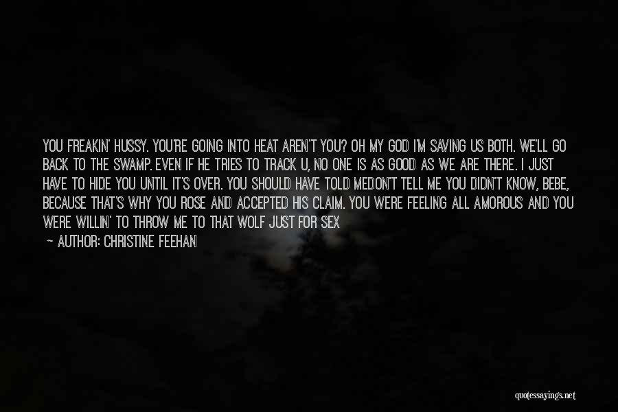 Don't Go Back Quotes By Christine Feehan