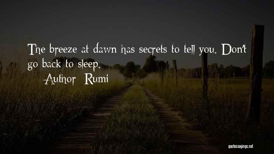 Don't Go Back To Sleep Quotes By Rumi