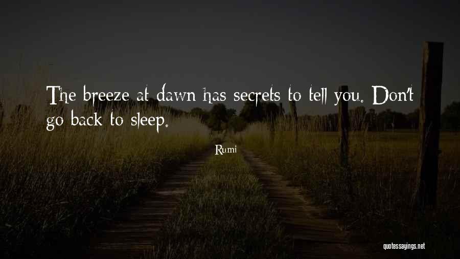 Don't Go Back To Sleep Quotes By Rumi